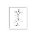 Picture of Single Flower VIII _GroupedProduct_Rectangle_Portrait_Framed_Matted_