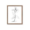 Picture of Single Flower VIII _GroupedProduct_Rectangle_Portrait_Framed_Matted_