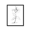 Picture of Single Flower VIII _GroupedProduct_Rectangle_Portrait_Framed_Matted_