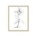 Picture of Single Flower VIII _GroupedProduct_Rectangle_Portrait_Framed_Matted_
