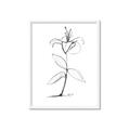 Picture of Single Flower VIII _GroupedProduct_Rectangle_Portrait_Framed_Matted_