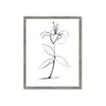 Picture of Single Flower VIII _GroupedProduct_Rectangle_Portrait_Framed_Matted_