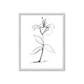 Picture of Single Flower VIII _GroupedProduct_Rectangle_Portrait_Framed_Matted_