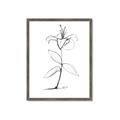 Picture of Single Flower VIII _GroupedProduct_Rectangle_Portrait_Framed_Matted_