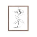 Picture of Single Flower VIII _GroupedProduct_Rectangle_Portrait_Framed_Matted_