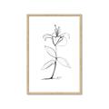 Picture of Single Flower VIII _GroupedProduct_Rectangle_Portrait_Framed_Matted_