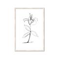 Picture of Single Flower VIII _GroupedProduct_Rectangle_Portrait_Framed_Matted_