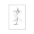 Picture of Single Flower VIII _GroupedProduct_Rectangle_Portrait_Framed_Matted_