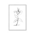 Picture of Single Flower VIII _GroupedProduct_Rectangle_Portrait_Framed_Matted_