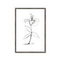 Picture of Single Flower VIII _GroupedProduct_Rectangle_Portrait_Framed_Matted_