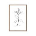Picture of Single Flower VIII _GroupedProduct_Rectangle_Portrait_Framed_Matted_
