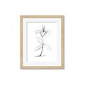 Picture of Single Flower VIII _GroupedProduct_Rectangle_Portrait_Framed_Matted_