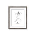 Picture of Single Flower VIII _GroupedProduct_Rectangle_Portrait_Framed_Matted_