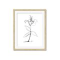 Picture of Single Flower VIII _GroupedProduct_Rectangle_Portrait_Framed_Matted_