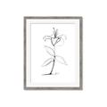 Picture of Single Flower VIII _GroupedProduct_Rectangle_Portrait_Framed_Matted_