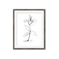 Picture of Single Flower VIII _GroupedProduct_Rectangle_Portrait_Framed_Matted_
