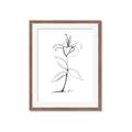 Picture of Single Flower VIII _GroupedProduct_Rectangle_Portrait_Framed_Matted_