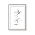 Picture of Single Flower VIII _GroupedProduct_Rectangle_Portrait_Framed_Matted_