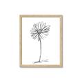 Picture of Single Flower VII  _GroupedProduct_Rectangle_Portrait_Framed_Matted_