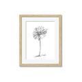 Picture of Single Flower VII  _GroupedProduct_Rectangle_Portrait_Framed_Matted_