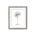Picture of Single Flower VII  _GroupedProduct_Rectangle_Portrait_Framed_Matted_