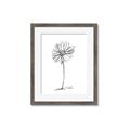 Picture of Single Flower VII  _GroupedProduct_Rectangle_Portrait_Framed_Matted_