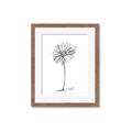 Picture of Single Flower VII  _GroupedProduct_Rectangle_Portrait_Framed_Matted_