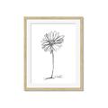 Picture of Single Flower VII  _GroupedProduct_Rectangle_Portrait_Framed_Matted_
