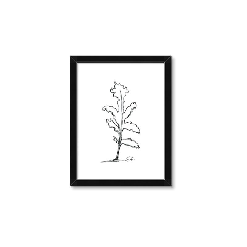 Picture of Single Flower V _GroupedProduct_Rectangle_Portrait_Framed_Matted_
