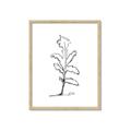 Picture of Single Flower V _GroupedProduct_Rectangle_Portrait_Framed_Matted_