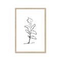 Picture of Single Flower V _GroupedProduct_Rectangle_Portrait_Framed_Matted_