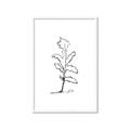 Picture of Single Flower V _GroupedProduct_Rectangle_Portrait_Framed_Matted_