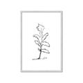 Picture of Single Flower V _GroupedProduct_Rectangle_Portrait_Framed_Matted_