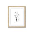 Picture of Single Flower V _GroupedProduct_Rectangle_Portrait_Framed_Matted_