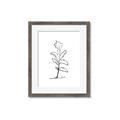 Picture of Single Flower V _GroupedProduct_Rectangle_Portrait_Framed_Matted_