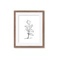 Picture of Single Flower V _GroupedProduct_Rectangle_Portrait_Framed_Matted_