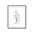 Picture of Single Flower V _GroupedProduct_Rectangle_Portrait_Framed_Matted_