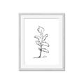 Picture of Single Flower V _GroupedProduct_Rectangle_Portrait_Framed_Matted_