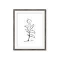 Picture of Single Flower V _GroupedProduct_Rectangle_Portrait_Framed_Matted_