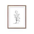 Picture of Single Flower V _GroupedProduct_Rectangle_Portrait_Framed_Matted_