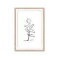 Picture of Single Flower V _GroupedProduct_Rectangle_Portrait_Framed_Matted_