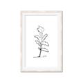 Picture of Single Flower V _GroupedProduct_Rectangle_Portrait_Framed_Matted_