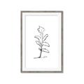 Picture of Single Flower V _GroupedProduct_Rectangle_Portrait_Framed_Matted_