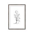 Picture of Single Flower V _GroupedProduct_Rectangle_Portrait_Framed_Matted_
