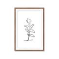 Picture of Single Flower V _GroupedProduct_Rectangle_Portrait_Framed_Matted_