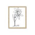 Picture of Single Flower III _GroupedProduct_Rectangle_Portrait_Framed_Matted_
