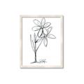 Picture of Single Flower III _GroupedProduct_Rectangle_Portrait_Framed_Matted_