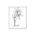 Picture of Single Flower III _GroupedProduct_Rectangle_Portrait_Framed_Matted_