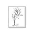 Picture of Single Flower III _GroupedProduct_Rectangle_Portrait_Framed_Matted_