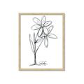 Picture of Single Flower III _GroupedProduct_Rectangle_Portrait_Framed_Matted_